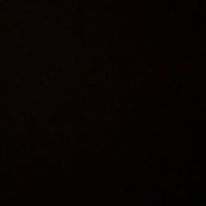 Meet your Posher, Dylan